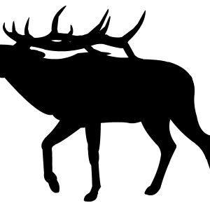 Moose, elk PNG