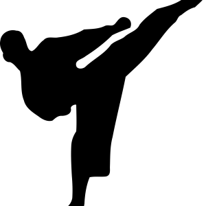Karate siluete PNG