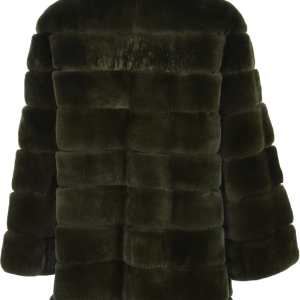 Fur coat PNG