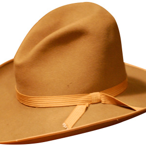 Cowboy hat PNG