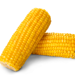Corn PNG image