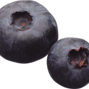Blueberries PNG