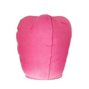 Sky lantern PNG