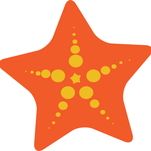 Starfish PNG