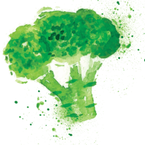 Broccoli PNG