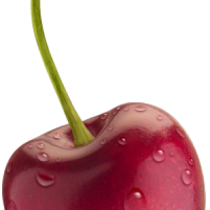 red cherry PNG image, free download