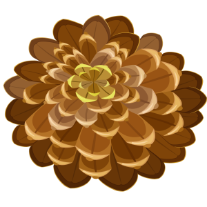 Pine cone PNG