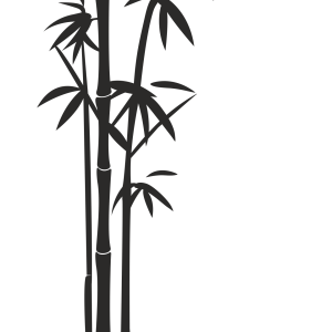 Bamboo PNG