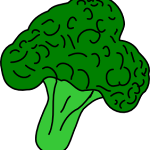 Broccoli PNG