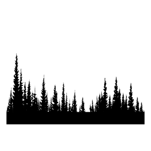 Forest PNG