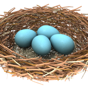 Nest PNG
