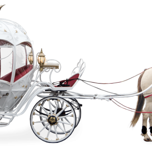 Carriage PNG