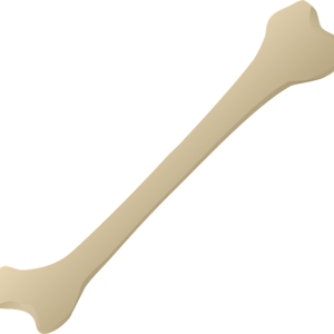 Bone PNG