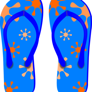 Flip-flops PNG