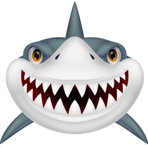 Shark PNG image