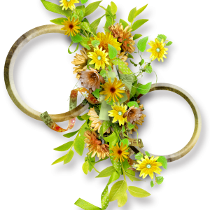 Floral frame PNG