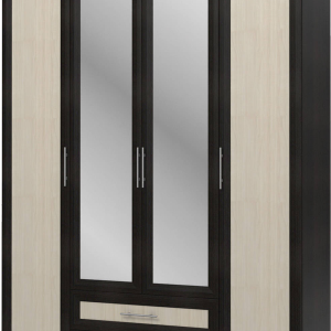 Closet PNG