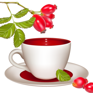 Rose hip PNG