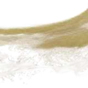 Sand PNG