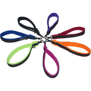 Leash PNG