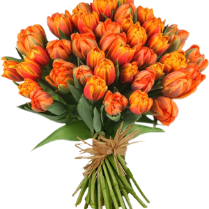 Bouquet flowers PNG