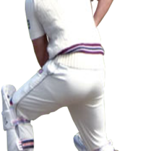 Cricket player PNG
