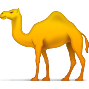 Camel PNG