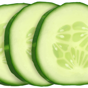 Slices of cucumber PNG