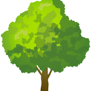 tree PNG