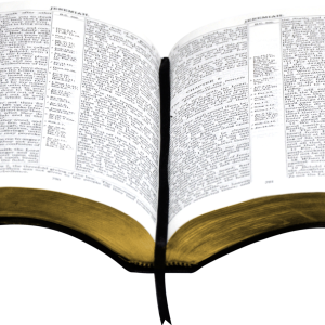 open bible PNG