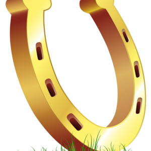 Horseshoe PNG