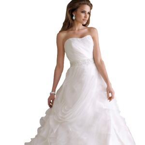 Bride PNG