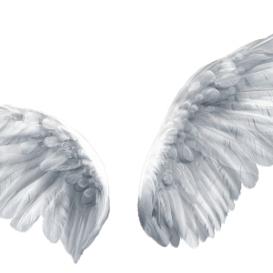 Wings PNG
