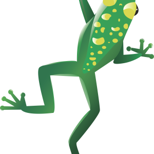 Frog PNG