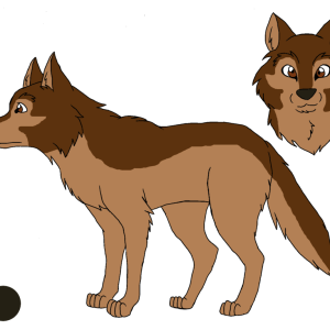 Jackal, coyote PNG