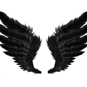 Wings PNG