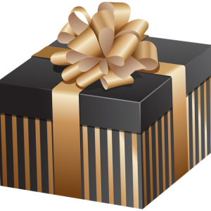 Gift box PNG