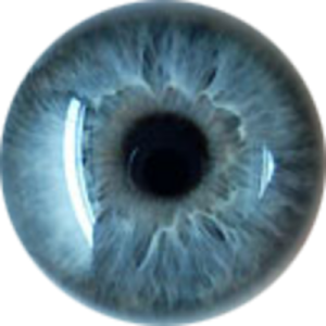Eye PNG