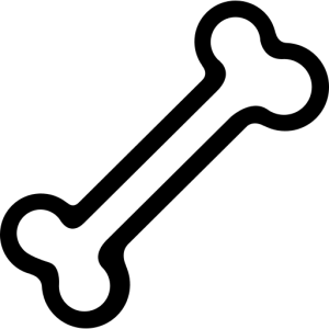 Bone PNG