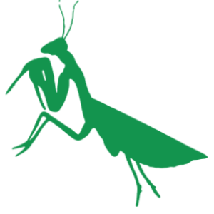 Mantis PNG