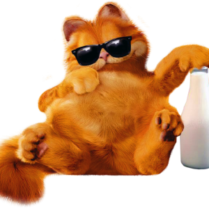 Garfield PNG picture