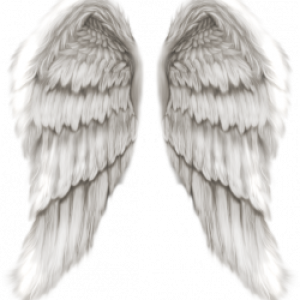 White angel wings PNG