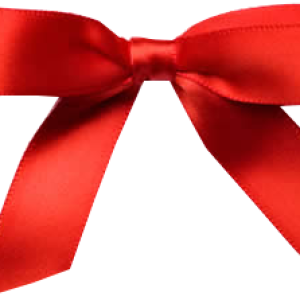 Bow PNG image