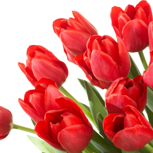 Bouquet flowers PNG