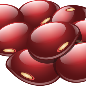 Kidney beans PNG