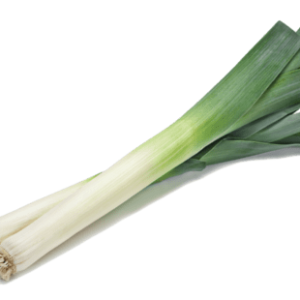 Leek PNG