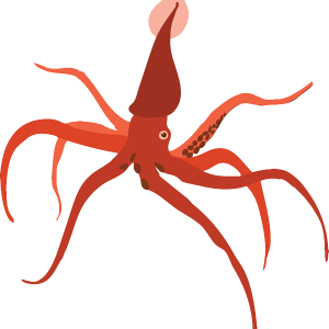 Squid PNG