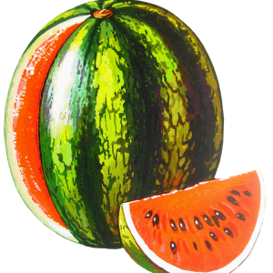 watermelon PNG image