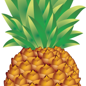 Pineapple PNG image, free download