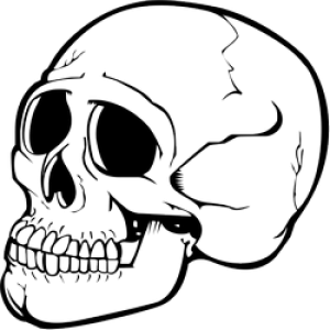 Skull PNG image